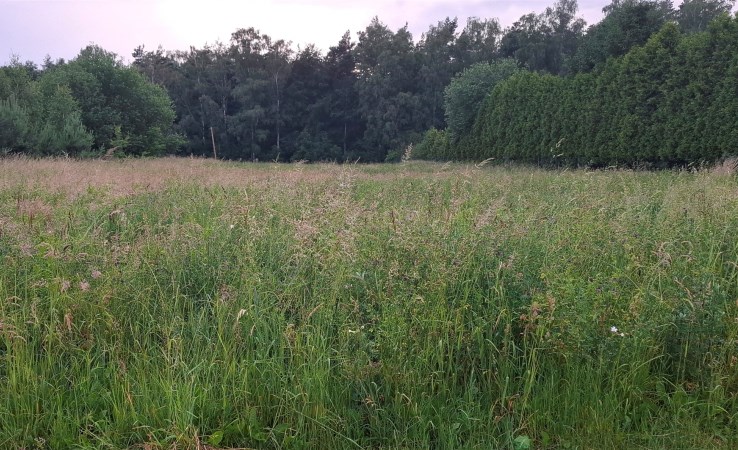 działka na sprzedaż - Dąbrowa Chełmińska